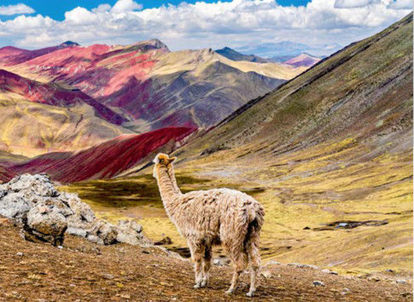 Imagen de Perú y Bolivia - Maravillas Andinas y del Altiplano - 2026